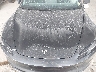 5YJ3E1EAXSF****** Reparables 2025 Tesla Model 3 en Dallas-Fort Worth