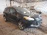 1FMCU0J94DU****** Salvage and Wrecked 2013 Ford Escape in Flint