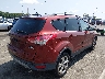 1FMCU0GX6EU****** Destrozados 2014 Ford Escape en Estado de Nueva Jersey