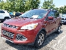 1FMCU0GX6EU****** Usados y Reparables 2014 Ford Escape en Englishtown
