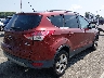 1FMCU0GX6EU****** Salvamento y Destrozados 2014 Ford Escape en Estado de Nueva Jersey