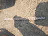 1C6RR7FP6DS****** Wrecked 2013 RAM 1500 in Washington State