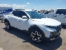 5NTJEDAF5PH****** Salvamento y Destrozados 2023 Hyundai Santa Cruz en Phoenix