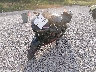 JYARJ06E83A****** Used and Repairable 2003 Yamaha YZF-R6 in Ashland