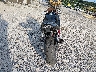 JYARJ06E83A****** Salvage and Repairable 2003 Yamaha YZF-R6 in Kentucky State