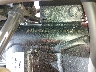 MLHND1645P5****** Reparables 2023 Honda CRF300L en Rec Rides Online Exclusive