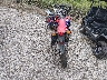 MLHND1645P5****** Salvamento y Reparables 2023 Honda CRF300L en Estado de Mississippi