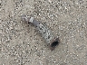 3N1AB8CV7LY****** Wrecked 2020 Nissan Sentra in Texas State
