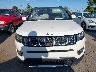 3C4NJDCB9JT****** Wrecked 2018 Jeep Compass in Michigan State