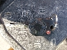 1FMCU0GX8EU****** Salvage 2014 Ford Escape in Illinois State