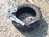 1FTEW1EP5KK****** Wrecked 2019 Ford F-150 in Kentucky State