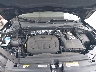 3VVCB7AXXRM****** Reparables 2024 Volkswagen Tiguan en North Hollywood