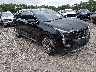1GYFZDR40PF****** Salvamento y Destrozados 2023 Cadillac XT4 en Tidewater