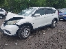 5J6RM4H52FL****** Usados y Reparables 2015 Honda CR-V en Albany
