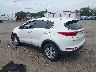 KNDPM3AC1H7****** Salvamento y Reparables 2017 Kia Sportage en Culpeper