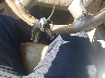 KL4CJBSB3FB****** Salvamento 2015 Buick Encore en Estado de Arkansas