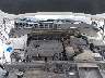 5XYPG4A31LG****** Repairable 2020 Kia Sorento in Greenville