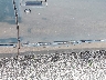 1G1BL52P3TR****** Repairable 1996 Chevrolet Caprice in Florida State