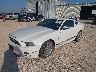 1ZVBP8AM3D5****** Used and Repairable 2013 Ford Mustang in Abilene