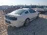 1ZVBP8AM3D5****** Salvage and Wrecked 2013 Ford Mustang in Texas State