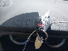 3N1AB7AP7DL****** Salvage 2013 Nissan Sentra in Louisiana State