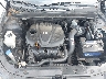 5NPEC4AC5BH****** Reparables 2011 Hyundai Sonata en Charleston