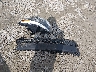 KNDJN2A22K7****** Wrecked 2019 Kia Soul in Ohio State