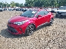 JTNKHMBX6M1****** Usados y Reparables 2021 Toyota C-HR en Sayreville