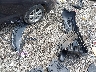 1G1BE5SM7G7****** Wrecked 2016 Chevrolet Cruze in Tennessee State