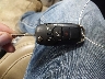 1FT7W2B60LE****** Salvamento 2020 Ford F-250 en Estado de Dakota del Sur