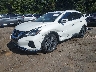 5N1AZ2MJ2KN****** Used and Repairable 2019 Nissan Murano in Jackson