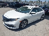 2HGFC2F68KH****** Usados y Reparables 2019 Honda Civic en North Hollywood
