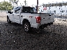 1FTEW1EGXFK****** Salvamento y Reparables 2015 Ford F-150 en Jacksonville