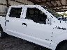1FTEW1EGXFK****** Salvamento y Reparables 2015 Ford F-150 en Estado de Florida