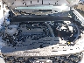 3FTTW8BA3SR****** Repairable 2025 Ford Maverick in North Hollywood