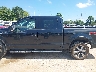 1FTEW1EF8HK****** Salvage 2017 Ford F-150