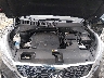 5XYPGDA59KG****** Repairable 2019 Kia Sorento in Shady Spring