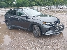 5NMJF3AE4NH****** Salvamento y Destrozados 2022 Hyundai Tucson en Knoxville