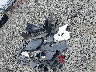 2T3DFREVXEW****** Destrozados 2014 Toyota RAV4 en Estado de Oregón