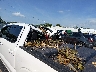 1FTFW7LD7SF****** Salvamento y Reparables 2025 Ford F-150 en Estado de Virginia