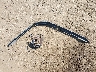 1GNDT13S522****** Wrecked 2002 Chevrolet Trailblazer in Washington State
