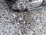 1HFSC46002A****** Wrecked 2002 Honda Vtx1800 in Virginia State