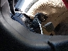 5FNRL38435B****** Salvage 2005 Honda Odyssey in Texas State
