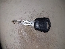 19UUA65556A****** Salvage 2006 Acura TL in Michigan State