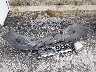 JF2SH6AC9AH****** Wrecked 2010 Subaru Forester in Maine State