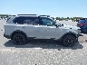 5XYP3DGC0PG****** Usados 2023 Kia Telluride en Estado de Florida
