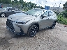 2T2HGCEZ2TC****** Usados y Reparables 2026 Lexus NX 350 en Orlando