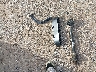 2C3CDZBT9PH****** Wrecked 2023 Dodge Challenger in Oklahoma State