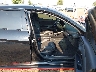 KMHLW4AK4PU****** Used and Repairable 2023 Hyundai Elantra N in Washington State