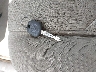 2T3BF4DVXBW****** Salvage 2011 Toyota RAV4 in Ohio State